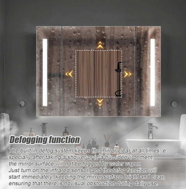 Η ντουλάπα Theresa με LED Mirror DBP125 100x70 γκρι