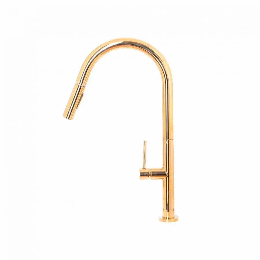 Μπαταρία κουζίνας με εκχυλίσιμο ντους, υγειονομικό ορείχαλκο, χρυσό, CF2043