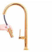 Μπαταρία κουζίνας με εκχυλίσιμο ντους, υγειονομικό ορείχαλκο, χρυσό, CF2043