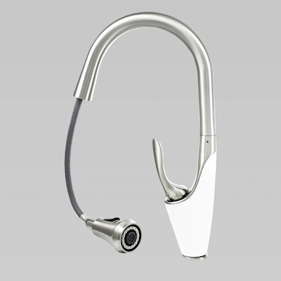 Μπαταρία κουζίνας με εκχυλίσιμο ντους, υγειονομικό ορείχαλκο, Chrome, W054