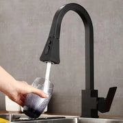 Μπαταρία κουζίνας με εκχυλίσιμο ντους, υγειονομικό ορείχαλκο, μαύρο, OD/2040