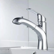 Washbasin Battery με εκχυλίσιμο ντους, υγειονομικό ορείχαλκο, Chrome, OD/2030