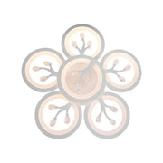 LED πολυέλαιος με τηλεχειριστήριο Daisy, 6 αντικείμενα, 72W, κρύο/ζεστό/ουδέτερο φως, ασταθές, λευκό με κρυστάλλινο