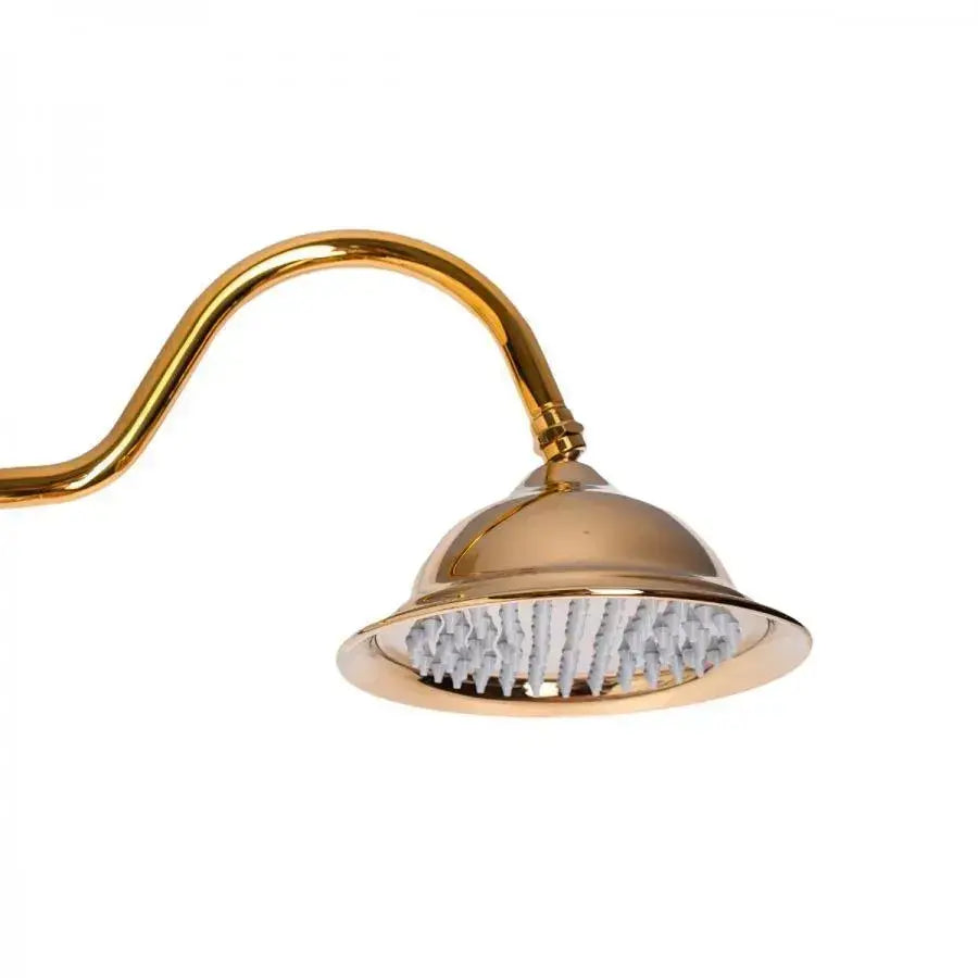 Στήλη ντους, υγειονομικό ορείχαλκο, χρυσός, wzy/310/b