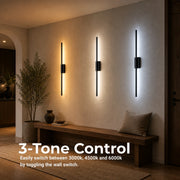Raffaela LED Chandelier 19W, 3000K, 4000K, 6000K, Acrylic 82,5cm, Black - 11_LL870-80BK.png