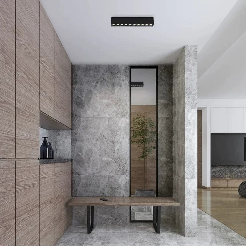 LED LED Projector RGB Εξωτερικό 24W Ασημί