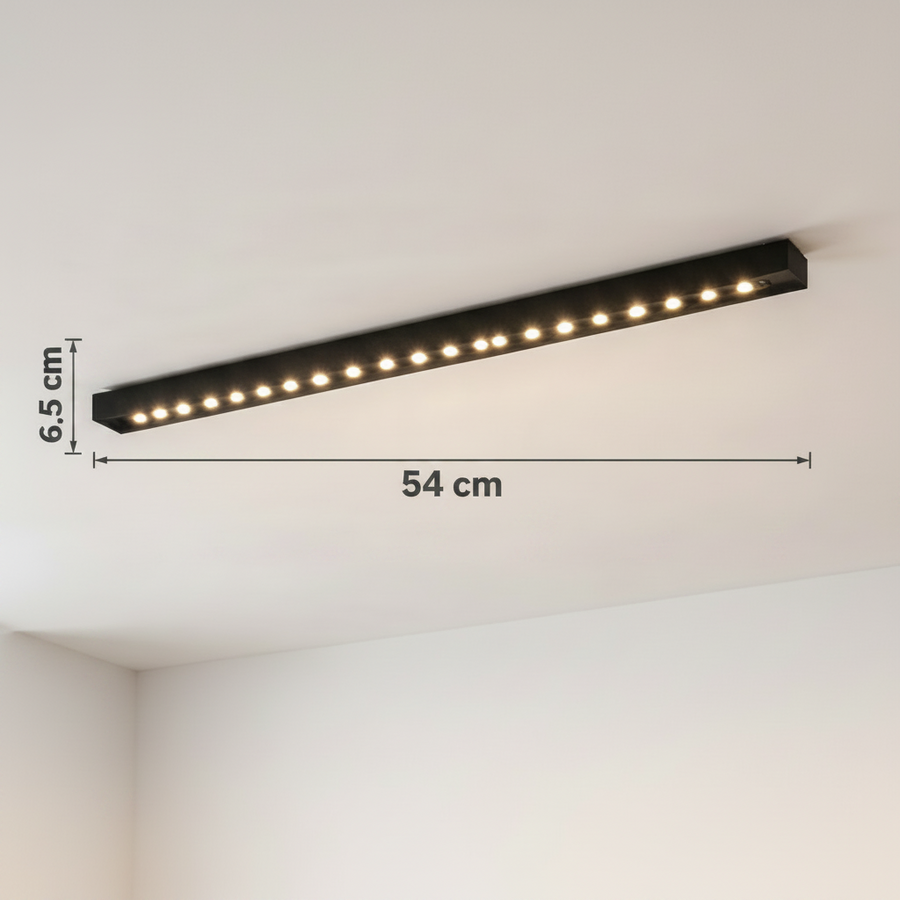 LED LED Projector RGB Εξωτερικό 24W Ασημί