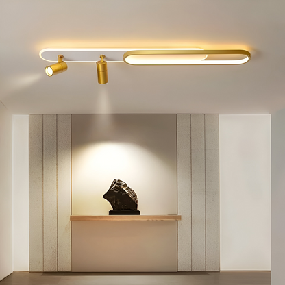 LED LED Filberto, 69W, κρύο/ζεστό φως/ουδέτερο ρυθμιζόμενο ακρυλικό προβολέα και λευκό και χρυσό μέταλλο