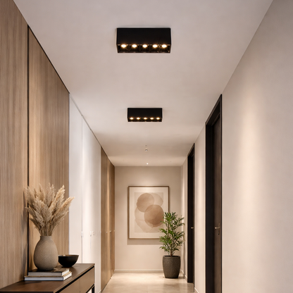 LED LED Projector RGB Εξωτερικό 24W Ασημί