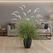 Καλλωπιστικό φυτό Foxtail Artificial Grass, 120cm, Καμπύλο γρασίδι και μπαχαρικά, πράσινο και λευκό, Χωρίς γλάστρα
