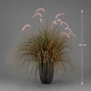 Καλλωπιστικό φυτό Foxtail Artificial Grass, 120cm, Καμπυλωτό γρασίδι και μπαχαρικά, πράσινο και ροζ, χωρίς γλάστρα