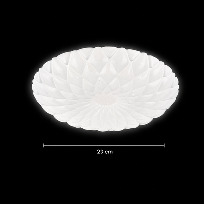LED Casey 30W LED Οροφή