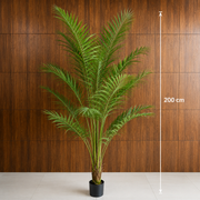 Decorațiune Howea Forsteriana, 200 cm, 15 frunze, Verde