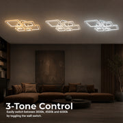 LT077_6 — LT077_6 - 4. 3-TONE CONTROL.jpg