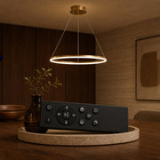 LT803_1GD — LT803_1GD - 2. REMOTE SHOW.jpg