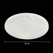 LED Casey 30W LED Οροφή