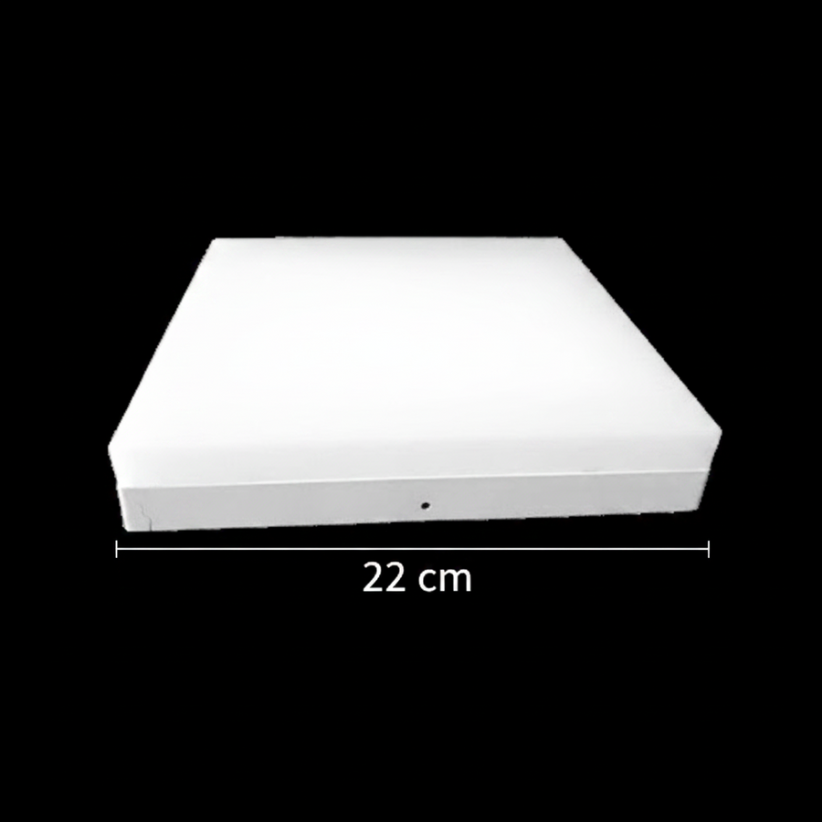 Φωτιστικό οροφής LED PL200/12P 19W Cool Light 6000k Λευκό LED Φώτα οροφής Προεπιλεγμένος τίτλος Alessandro Design