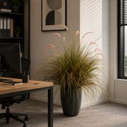 Καλλωπιστικό φυτό Foxtail Artificial Grass, 120cm, Καμπυλωτό γρασίδι και μπαχαρικά, πράσινο και ροζ, χωρίς γλάστρα