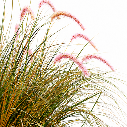 Καλλωπιστικό φυτό Foxtail Artificial Grass, 120cm, Καμπυλωτό γρασίδι και μπαχαρικά, πράσινο και ροζ, χωρίς γλάστρα