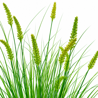 Καλλωπιστικό φυτό γρασίδι τύπου τεχνητής αλεπούς ουράς, 100 cm, με 12 μπαχαρικά, πράσινο, χωρίς γλάστρα