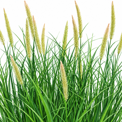 Τεχνητό φυτό, αλεπούδα σε γλάστρα Διακοσμητικό γρασίδι, 70 cm, με 25 μπαχαρικά, πράσινο και ροζ