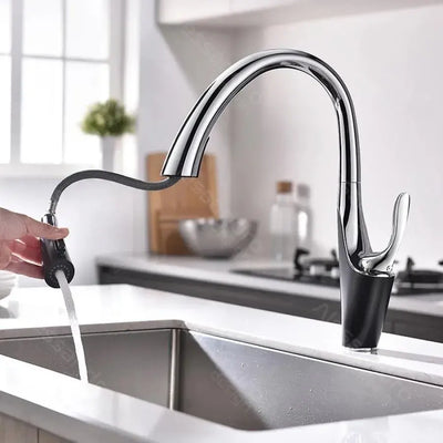 Μπαταρία κουζίνας με εκχυλίσιμο ντους, υγειονομικό ορείχαλκο, Chrome, W058