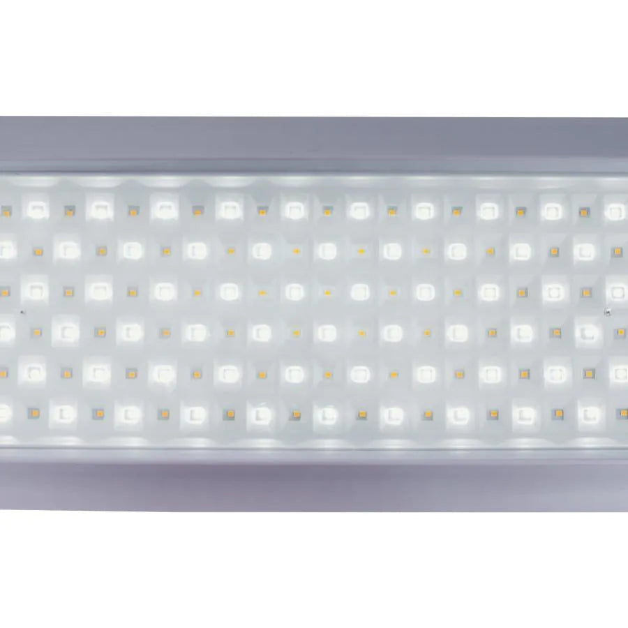 Οι οροφές Tamita οδήγησαν, 60w, λευκό, 3000/6000K