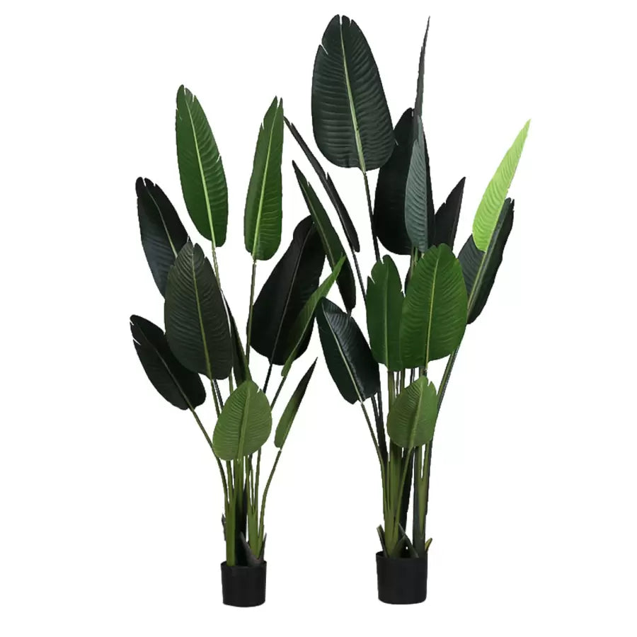 Τεχνητή φυτική διέλευση του παραδείσου (Strelitzia Nicolai), 11 φύλλα, χωρίς γλάστρες, πράσινο 160cm