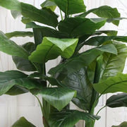 Ιαπωνικά Bananal Artificial Flant, 4 κλαδιά, αριθ. 180cm Green Pots